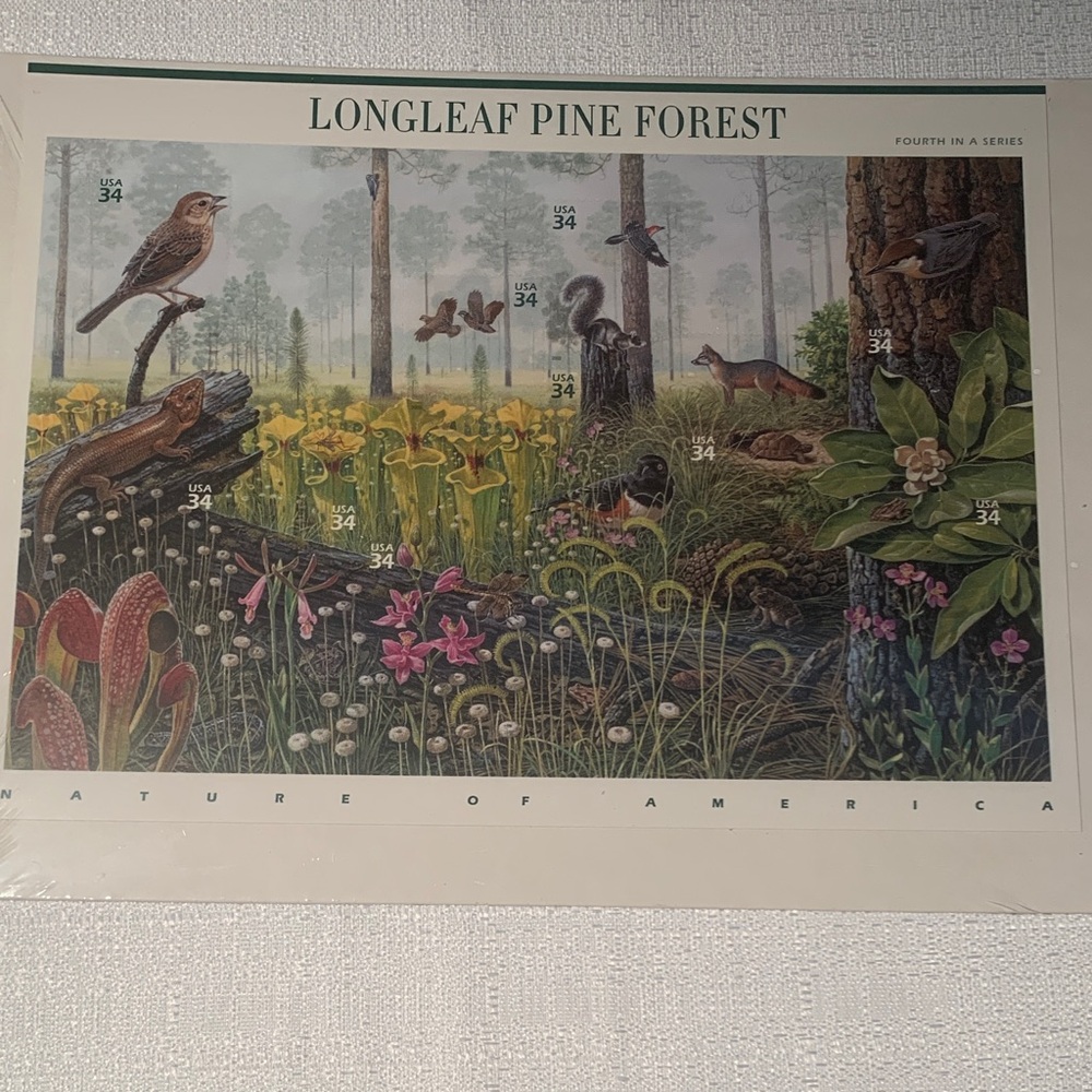USPS COLLECTIBLE Longleaf Pine Forest Nature Poster CELLOPHANE WRAP